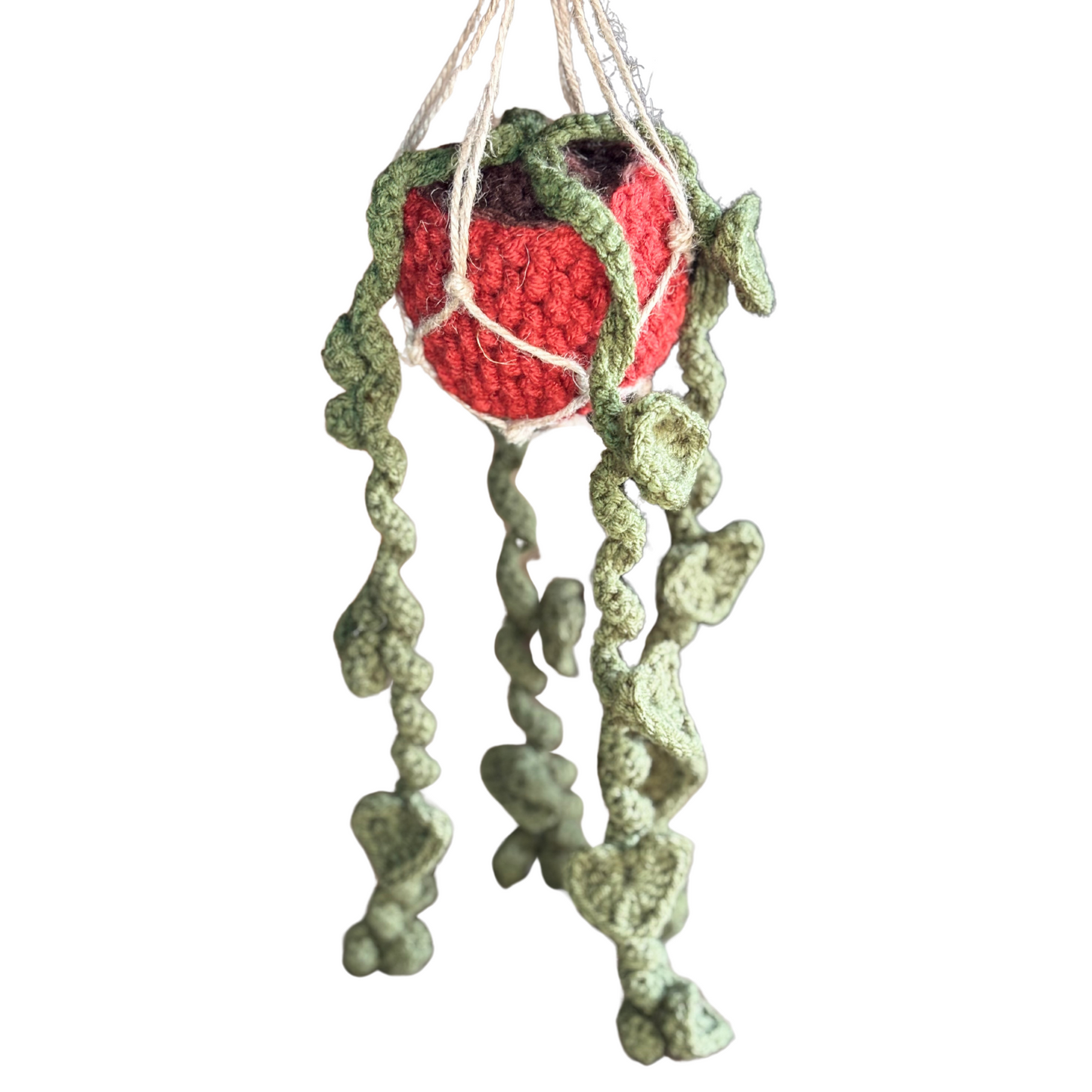 Hanging Heart Vines