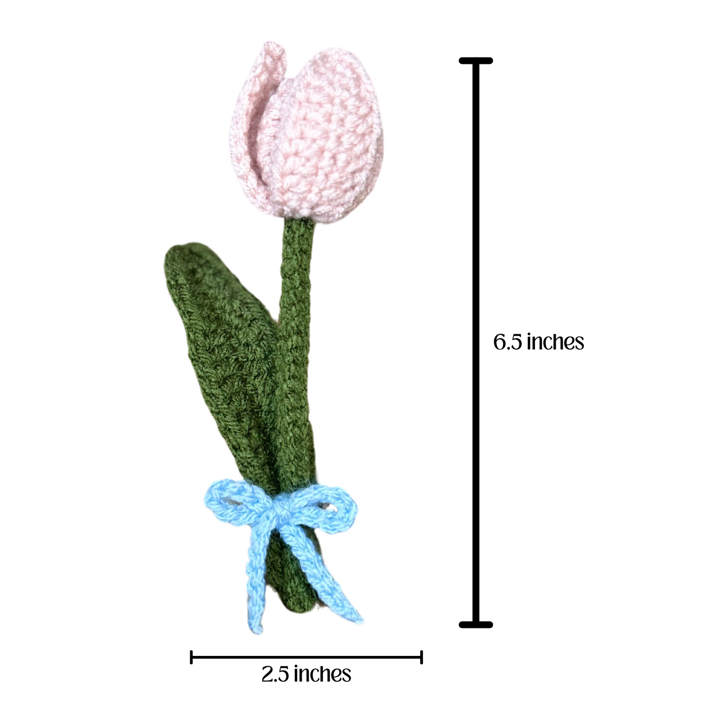 Blooming Tulips