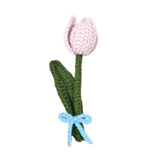 Blooming Tulips