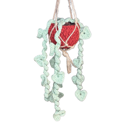 Hanging Heart Vines