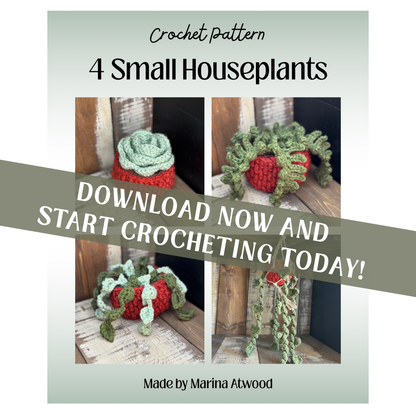 4 Small Houseplants Pattern