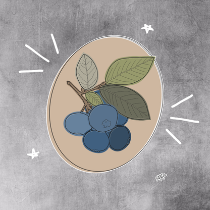 Colorblock Blueberries Wall Art