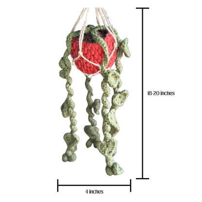Hanging Heart Vines